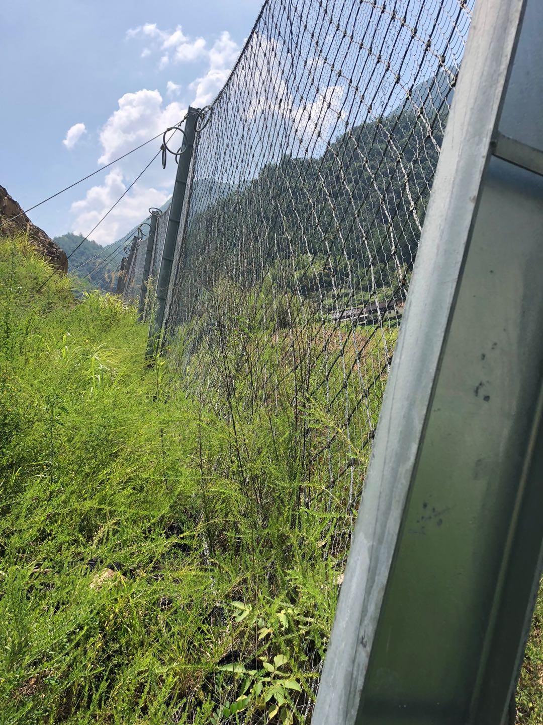 被动防护网实景网